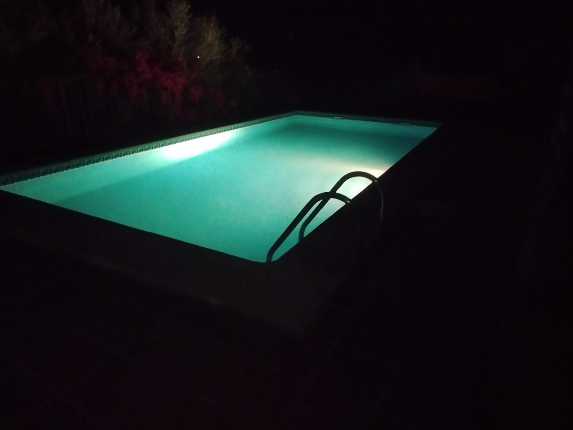 Los Olivos 말라가 외부 사진
