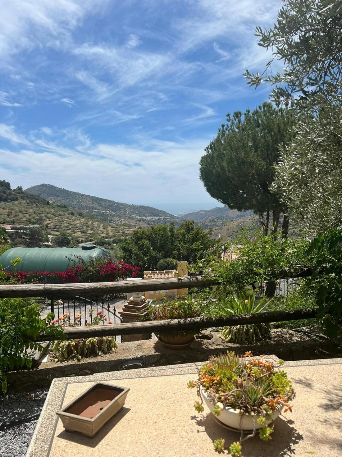 Los Olivos 말라가 외부 사진